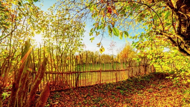 Artvin Karçal Dağları'nda sonbahar güzelliği